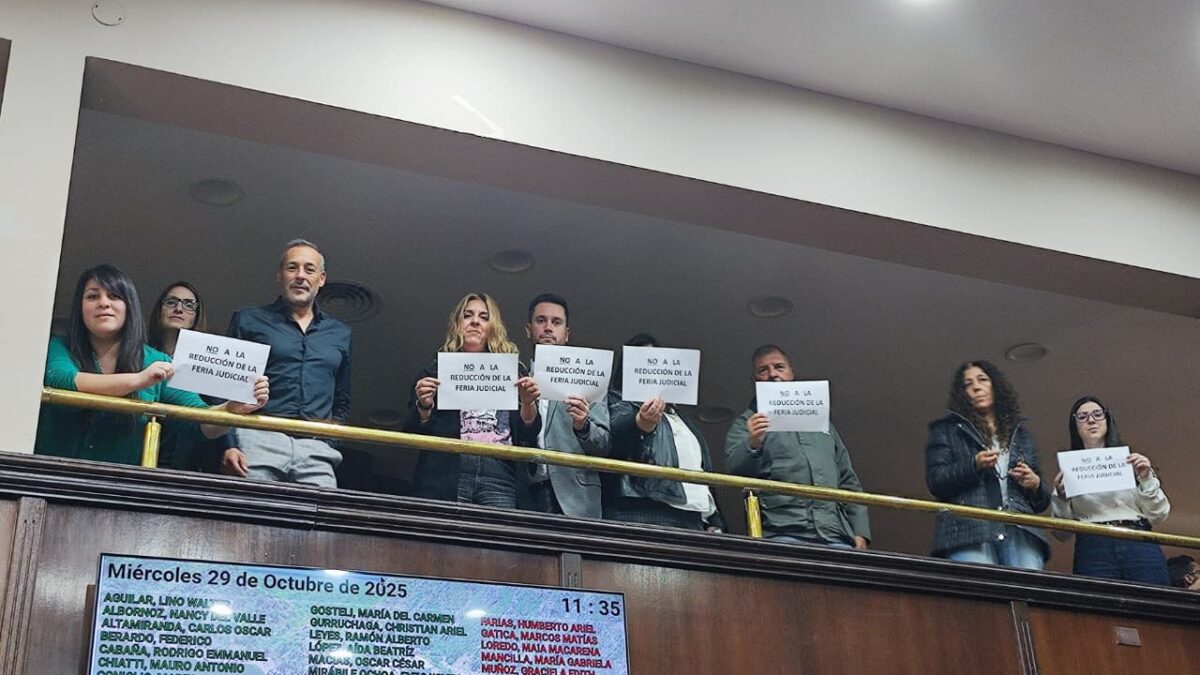 El CAPSL y abogados de la matricula manifestaron en la Cámara de Diputados su disconformidad con el proyecto de reducción de la Feria Judicial