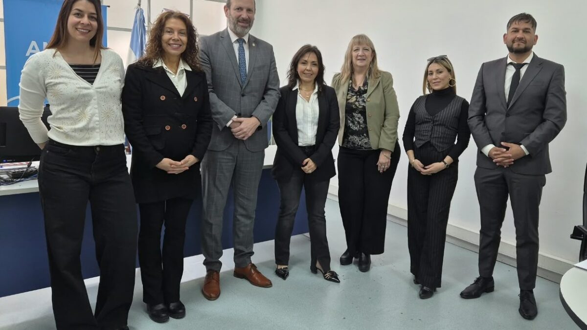 El CAPSL se reunió con autoridades de ANSES por trámites y demoras planteadas por profesionales